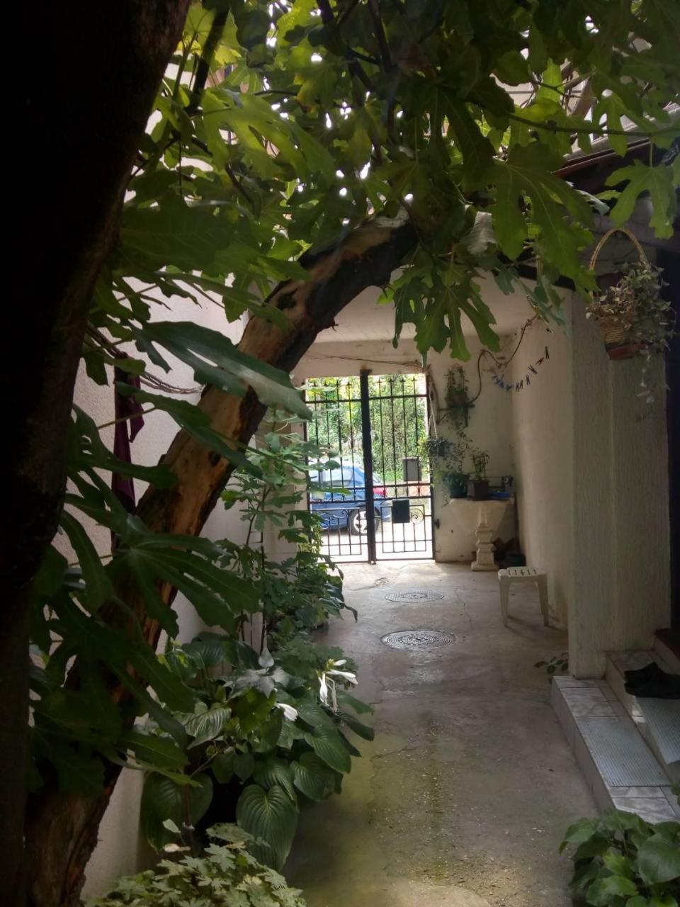 Gardos Διαμέρισμα Βελιγράδι Εξωτερικό φωτογραφία